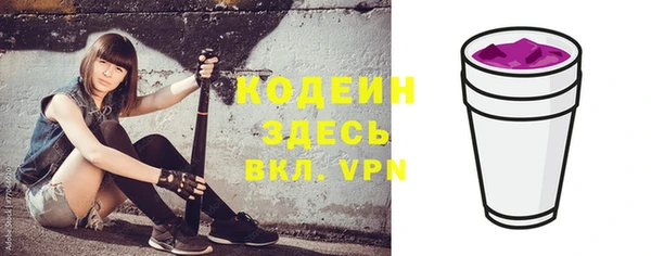 индика Верея