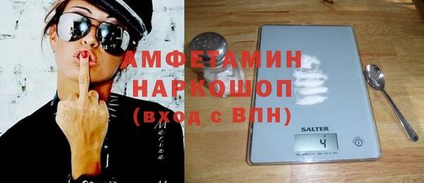 индика Верея
