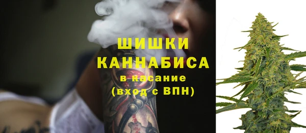 прущие грибы Волосово