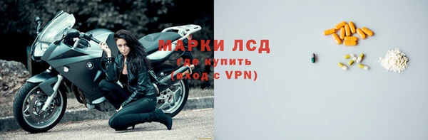 индика Верея