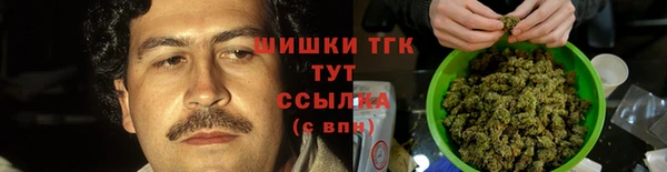 индика Верея