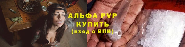 прущие грибы Волосово
