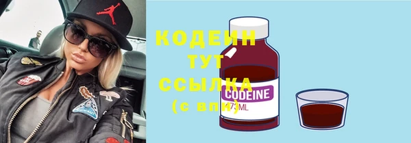 индика Верея