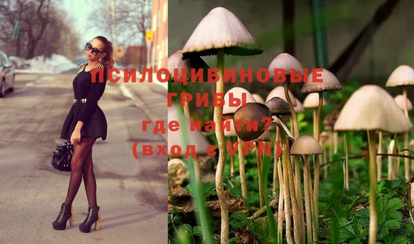 mdpv Верхний Тагил