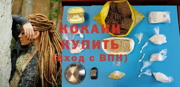 индика Верея