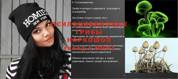индика Верея