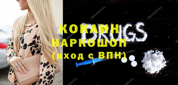 индика Верея