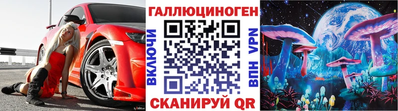 Купить закладки  Никольск  Псилоцибиновые грибы MAGIC MUSHROOMS 